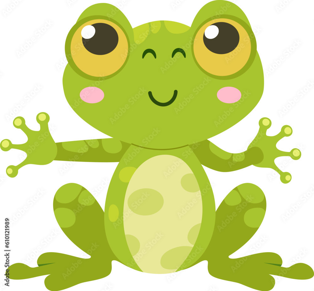 Obraz premium Sitting Frog Amphibian