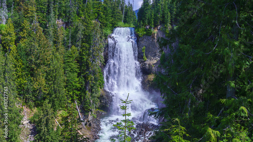 Stunning Alexander Falls near Whistler Olympic Park  BC  with dense forest backdrop.