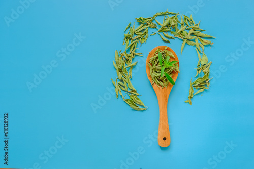 Stevia plant.Sugar substitute. Dried and fresh stevia leaves in a wooden spoon on a blue background. Low Calorie Vegetable Sweetener. Natural dietary sweetener. photo