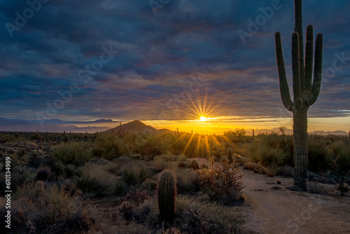 Sunrise Sunburst Along A Desert Hiking Trail In Scottsdale AZ