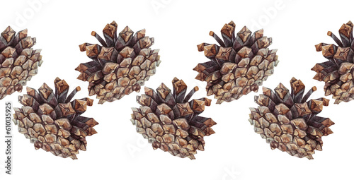 Watercolor seamless rim hand-drawn realistic fir or pine cone on white background. Forest border for christmas celebration or invite. Nature pattern for frame card or textile. Wrapping or sketchbook