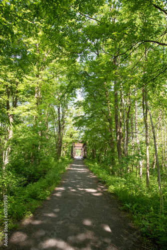 Fotografie path to the bridge