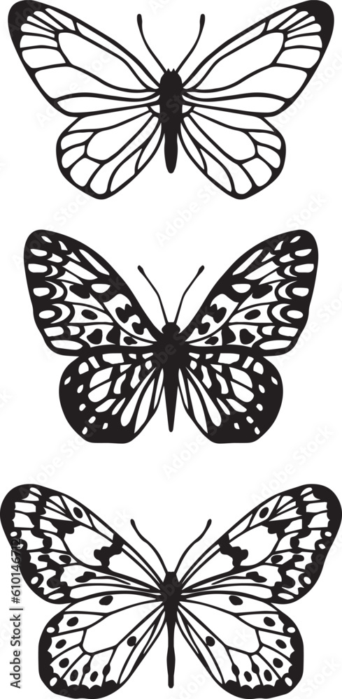 Vector design of three different butterflies one on another, butterfly vector, butterfly silhouette icon