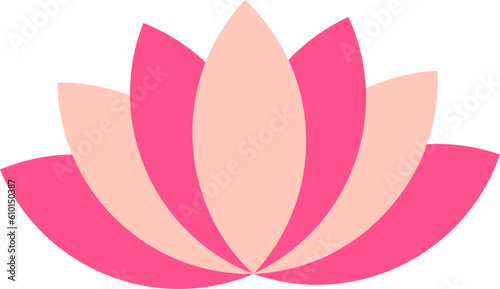 A Pink Lotus Flower