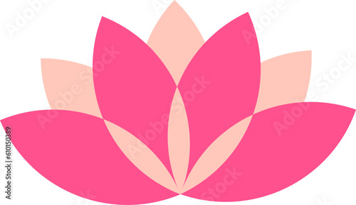 A Pink Lotus Flower