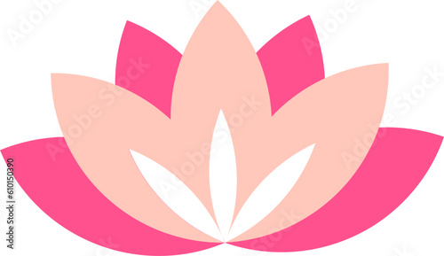 A Pink Lotus Flower