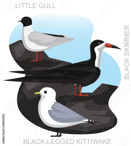 Cute Bird Gull Seagull Kittiwake Skimmer Set Cartoon Vector