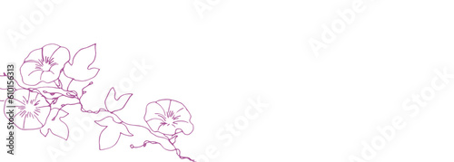 線画。夏の朝顔ベクターイラスト。アサガオのベクター背景素材。和風植物装飾イラスト。Line drawing. Summer morning glory vector illustration. Morning glory vector background. Japanese style plant decoration illustration.
