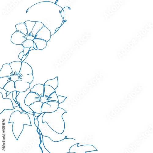 線画。夏の朝顔ベクターイラスト。アサガオのベクター背景素材。和風植物装飾イラスト。Line drawing. Summer morning glory vector illustration. Morning glory vector background. Japanese style plant decoration illustration.