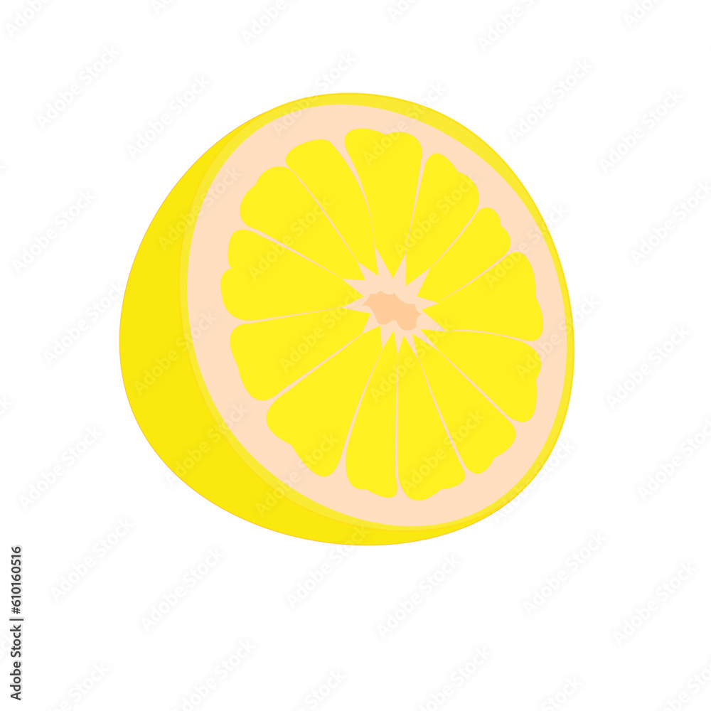 vector illustration of a lemon. Lines art tropical fruit vector illustration of a lemon. Lines art tropical fruit