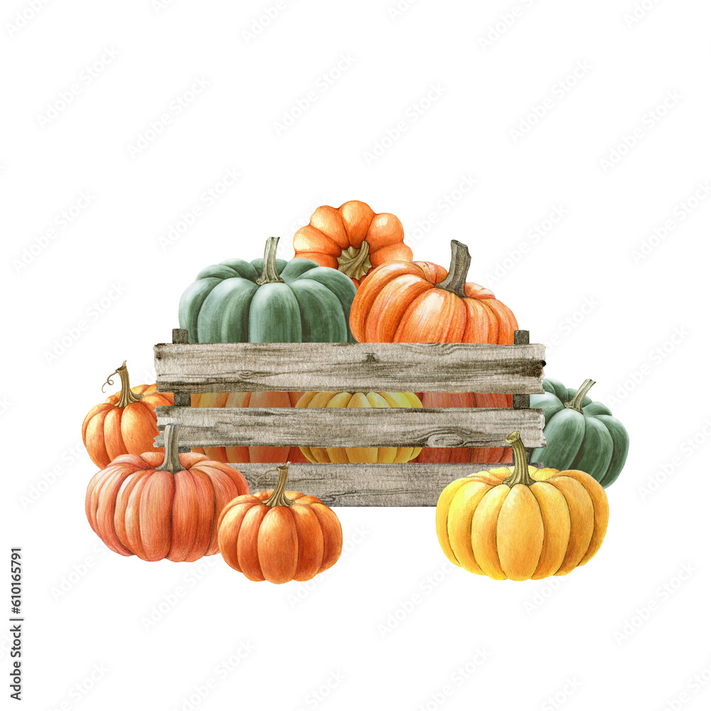 Hand drawn pumpkins in a wooden box. Watercolor painted illustration. Farm organic autumn harvest vegetables in a wooden box. Ripe orange, green, yellow pumpkin pile element. White background Hand drawn pumpkins in a wooden box. Watercolor painted illustration. Farm organic autumn harvest vegetables in a wooden box. Ripe orange, green, yellow pumpkin pile element. White background