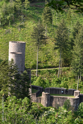 Obraz na płótnie Burgruine Frauenburg w salonie