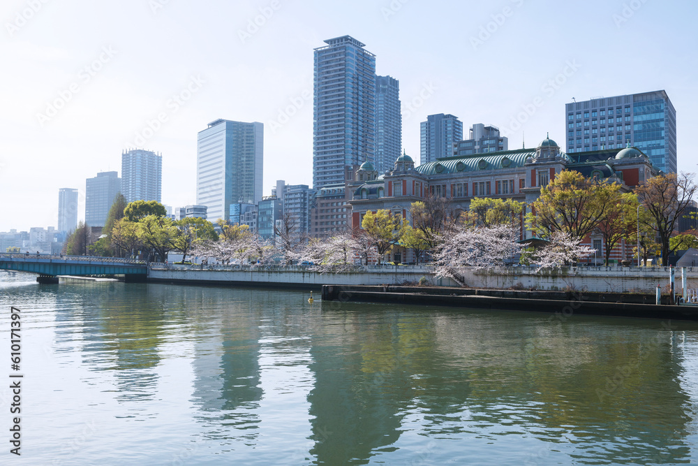 中之島の桜