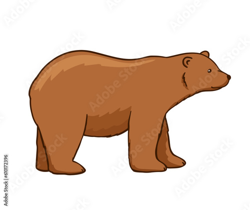 Adult brown bear. Vector flat cartoon illustration isolated on white. Forest animal.