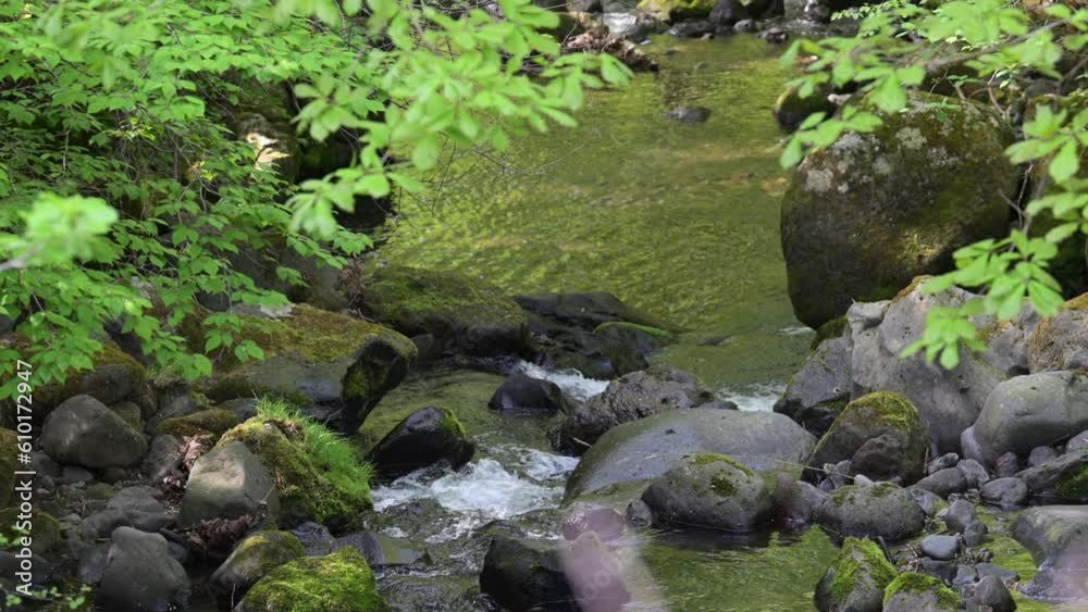 Upstream rivers in Japan that are easy to use as backdrops for sightseeing and travel. Clear streams. video slow Upstream rivers in Japan that are easy to use as backdrops for sightseeing and travel. Clear streams. video slow