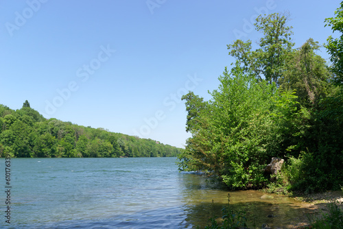  Seine river bank in the Livry Sensitive Nature Reserve.   le-de-France region