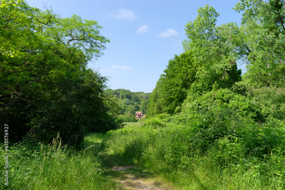 Forest path in the Livry sensitive Nature Reserve. Île-de-France region Forest path in the Livry sensitive Nature Reserve. Île-de-France region