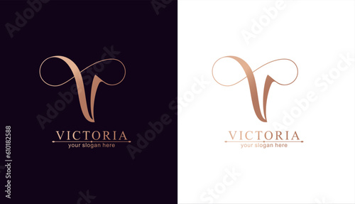 V and infinity logo. V letter logo template elements. personal monogram. Vector elegant logo.
