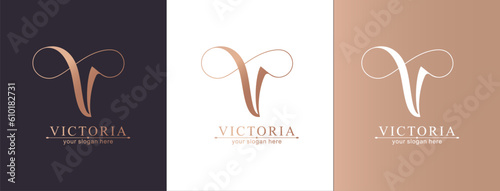 V and infinity logo. V letter logo template elements. personal monogram. Vector elegant logo.