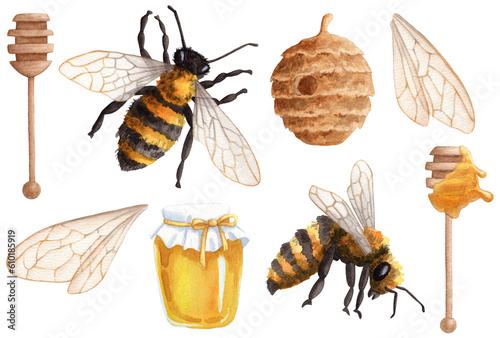 Fotografie, Obraz Bee and Honey set