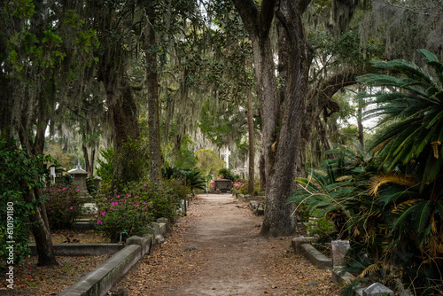 Tree-lined path in Bonaventure Cemetery in Savannah.