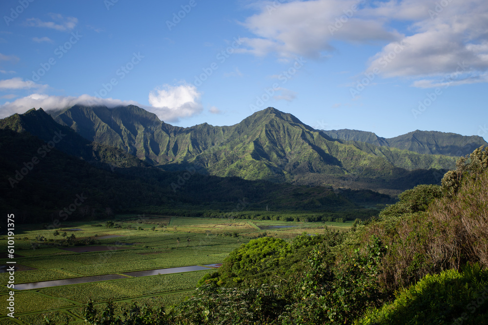 Mountains and Taro Fields in Hanalei Kauai Hawaii
