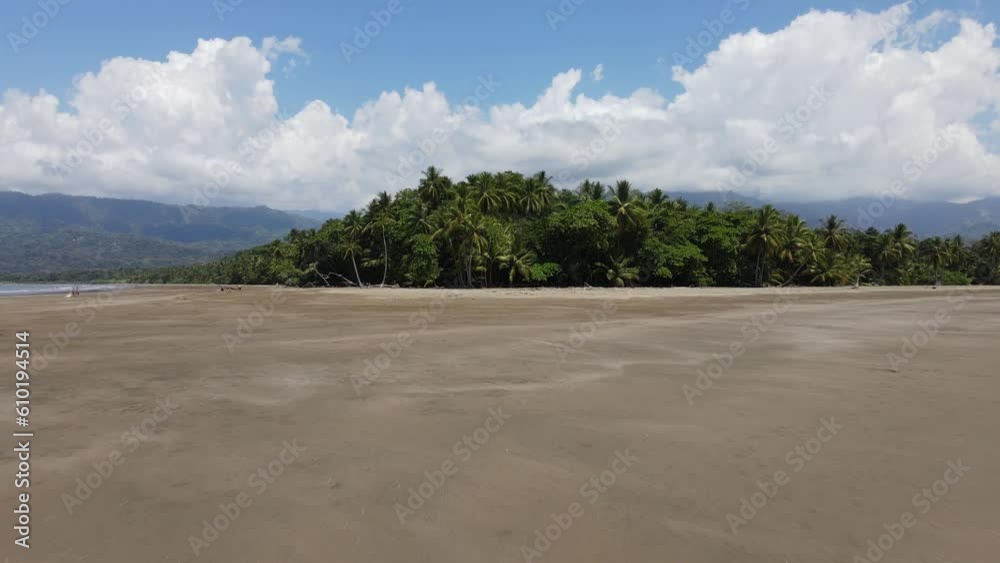 Drone camera view flying towards a tropical forest in the beach, revealing more trees from an aerial view Drone camera view flying towards a tropical forest in the beach, revealing more trees from an aerial view