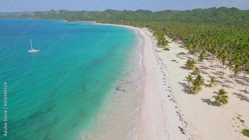 Aerial flight Over Sandy beach with many palm trees and Blue Caribbean Sea Shore at Playa Rincon, Samana Aerial flight Over Sandy beach with many palm trees and Blue Caribbean Sea Shore at Playa Rincon, Samana
