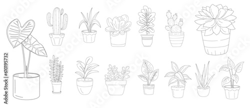 Outline Plant Pot 3