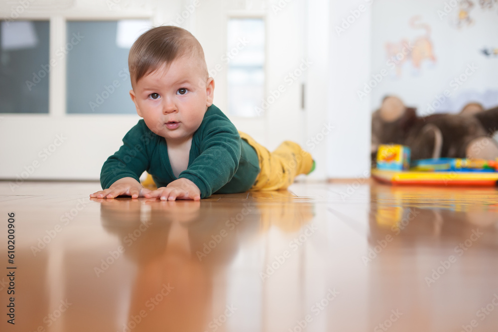 Cute baby boy crawls on the home floor, explore the world and learn to move. Front view. Love and family emotion Cute baby boy crawls on the home floor, explore the world and learn to move. Front view. Love and family emotion