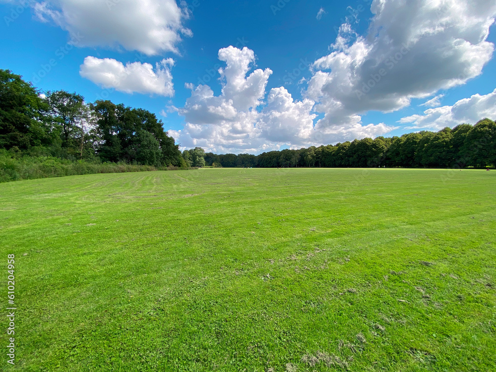 Large open meadow in the Bos of Amsterdam on a summer day Large open meadow in the Bos of Amsterdam on a summer day