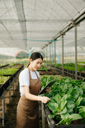 Wallpaper Mural  Asian couple of farmers inspects plants with a digital tablet. Smart farming  In a greenhouse plantation. Torontodigital.ca
