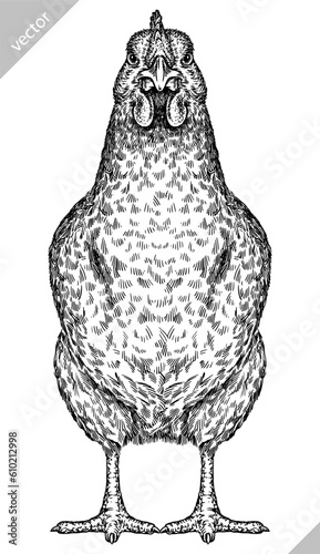 Vintage engraving isolated chicken set illustration rooster ink sketch. Farm fowl background hen bird silhouette cock art. Black and white hand drawn vector image