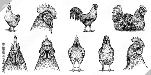 Vintage engraving isolated chicken set illustration rooster ink sketch. Farm fowl background hen bird silhouette cock art. Black and white hand drawn vector image