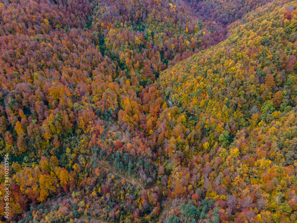 Autumn landscape in Puigsacalm Peak, La Garrotxa, Girona, Spain. Autumn landscape in Puigsacalm Peak, La Garrotxa, Girona, Spain.