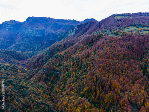 Autumn landscape in Puigsacalm Peak, La Garrotxa, Girona, Spain.