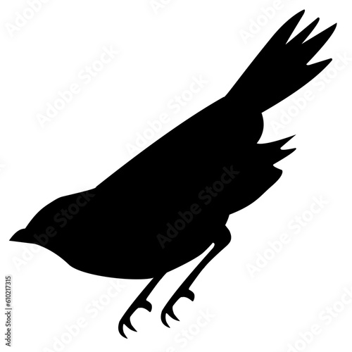 Bird Silhouette