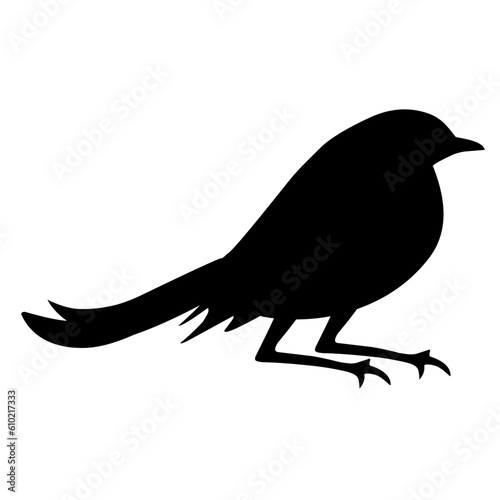 Bird Silhouette