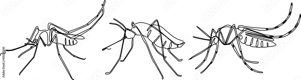 mosquito continuous line set illustration