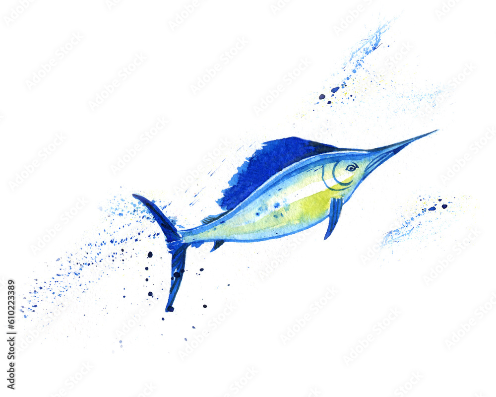 Atlantic blue Marlin fish, Swordfish, fish sword, Makaira nigricans, isolated, ocean, sea fish, close-up, hand drawn watercolor illustration on white background Atlantic blue Marlin fish, Swordfish, fish sword, Makaira nigricans, isolated, ocean, sea fish, close-up, hand drawn watercolor illustration on white background