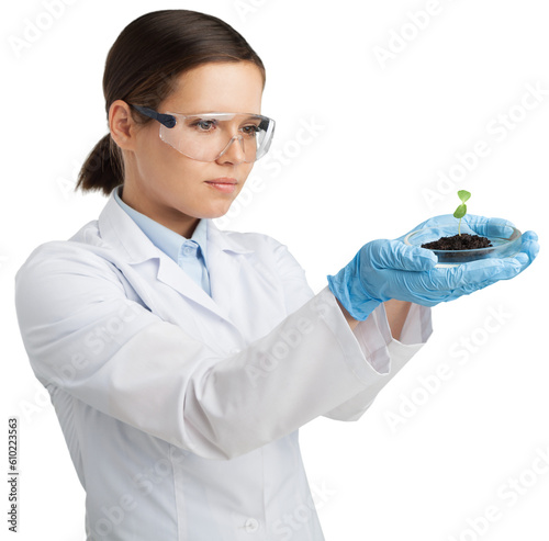 Green plant with soil and hand of scientist holds a petri dish