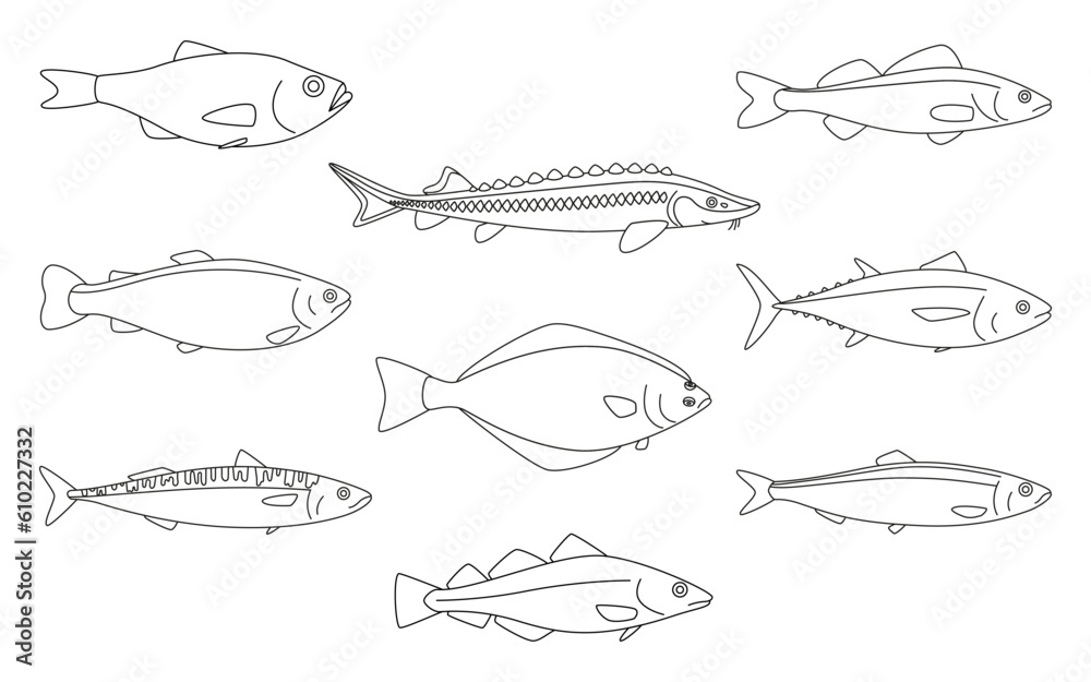 Fish animal art line set, black contour of sea animal. Seafood meal ...