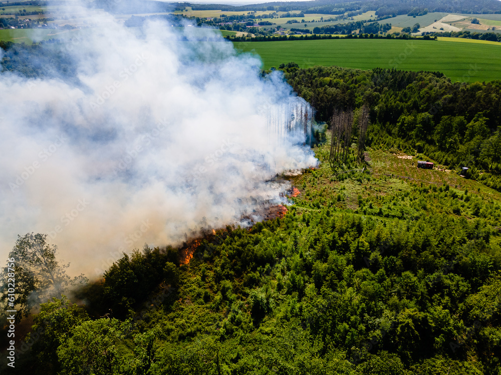 Waldbrand und Flammen bei Vegetationsbrand