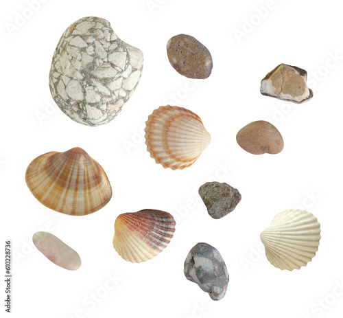 Shells and pebbles. Isolated objects for creating collages, posters, postcards, invitations