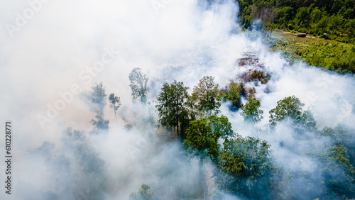 Waldbrand und Flammen bei Vegetationsbrand © Rico Löb