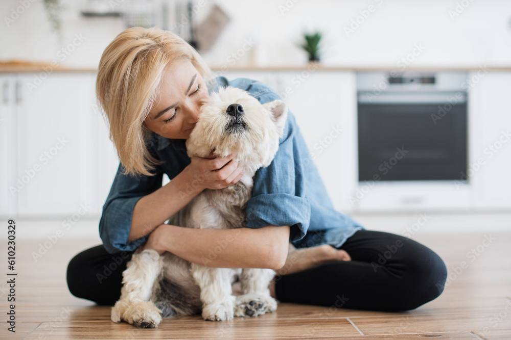 Loyal West Highland White Terrier staying in adult woman's embraces while being inside modern apartment. Loving pet owner kissing her furry best friend while enjoying daily interaction with dog. Loyal West Highland White Terrier staying in adult woman's embraces while being inside modern apartment. Loving pet owner kissing her furry best friend while enjoying daily interaction with dog.