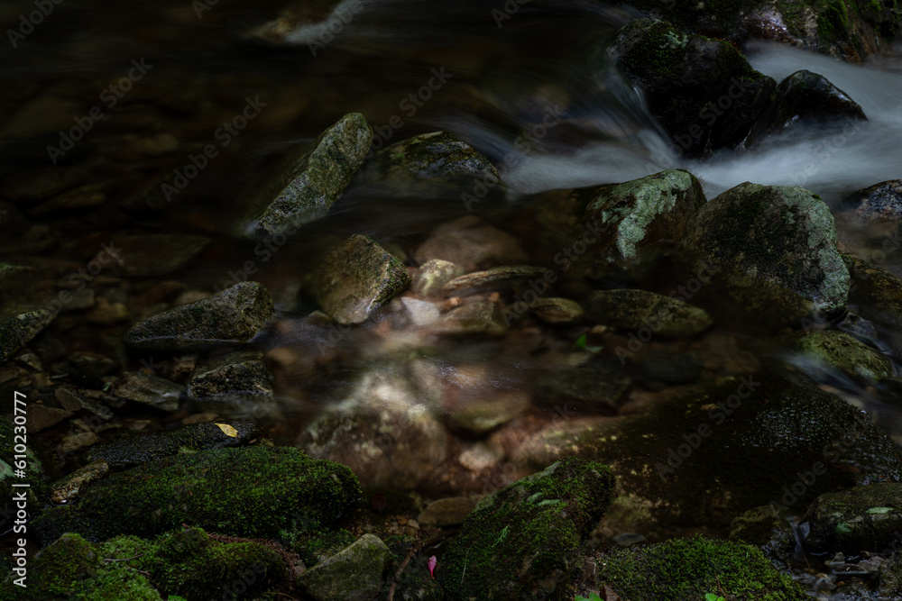 Obraz premium 木漏れ日の中を流れる川