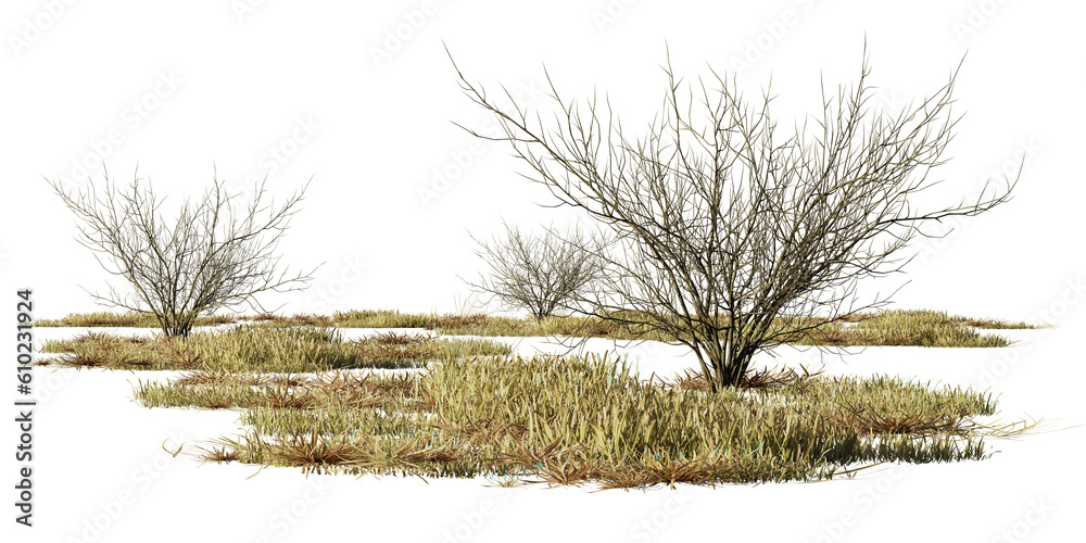 dry bushes and grass, desert scene cut-out, isolated on transparent background