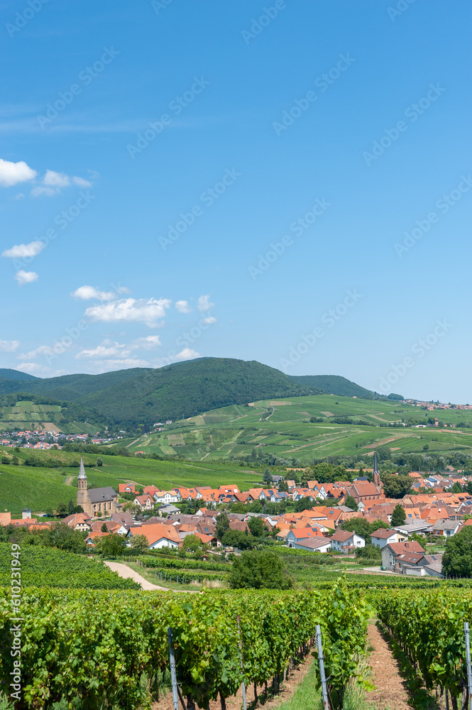 Ortsotale von Birkweiler mit Weinbergen und Pfälzerwald im Hintergrund. Region Pfalz im Bundesland Rheinland-Pfalz in Deutschland