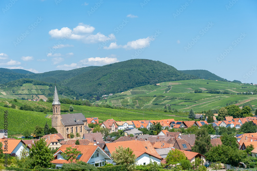 Ortsotale von Birkweiler mit Weinbergen und Pfälzerwald im Hintergrund. Region Pfalz im Bundesland Rheinland-Pfalz in Deutschland
